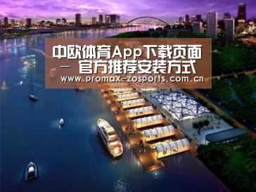 案例展示八