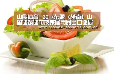 中欧体育-2017东盟(越南)中国建筑建材及家居用品出口巡展(图3) 中欧体育官网