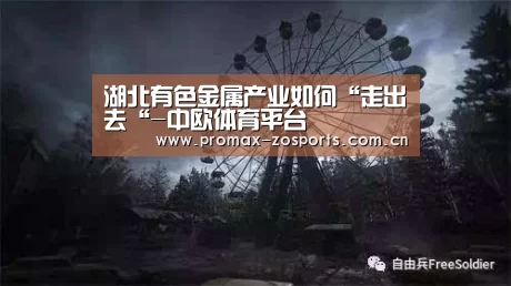 湖北有色金属产业如何“走出去“-中欧体育平台(图4) 中欧体育官网