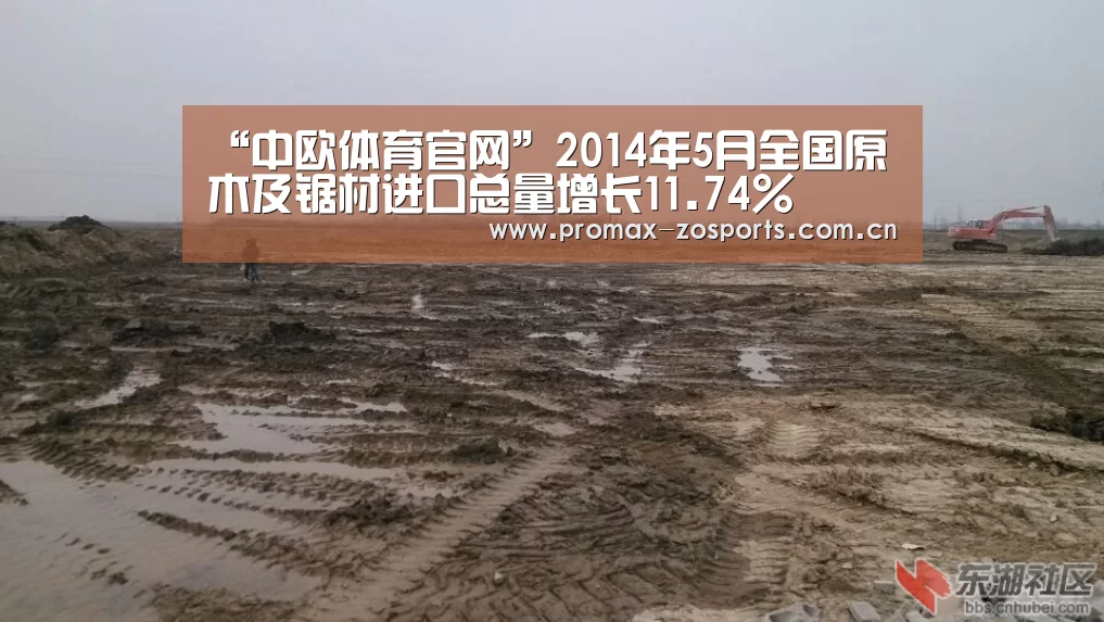 “中欧体育官网”2014年5月全国原木及锯材进口总量增长11.74%(图2) 中欧体育
