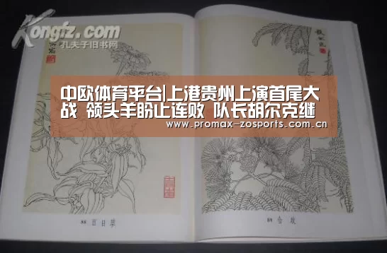 中欧体育平台|上港贵州上演首尾大战 领头羊盼止连败 队长胡尔克继续缺阵(图2) 中欧体育官网