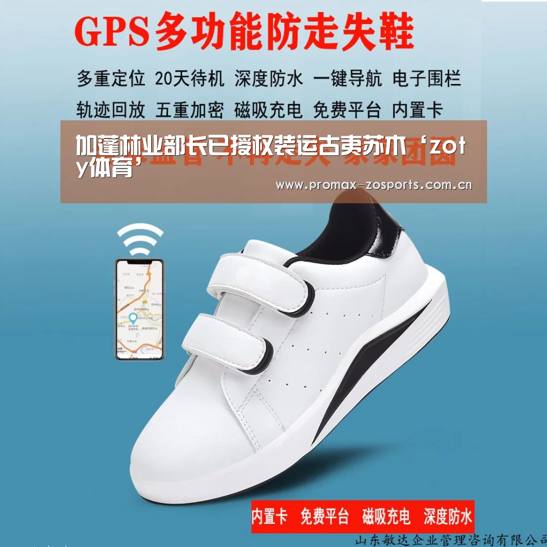 加蓬林业部长已授权装运古夷苏木‘zoty体育’(图4) 中欧体育