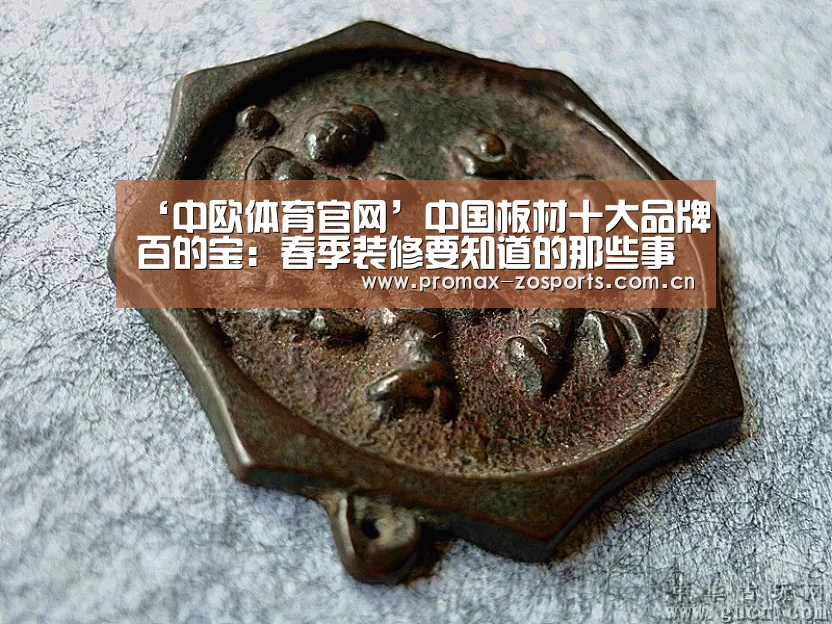 中欧体育