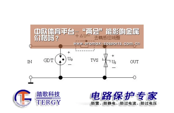 中欧体育平台-“两会”能影响金属价格吗?(图2) 中欧体育