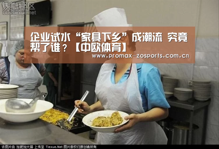 企业试水“家具下乡”成潮流 究竟帮了谁?【中欧体育】(图1) zoty体育